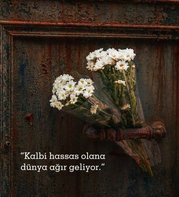 Mahrunya Kullanıcı Fotoğrafı