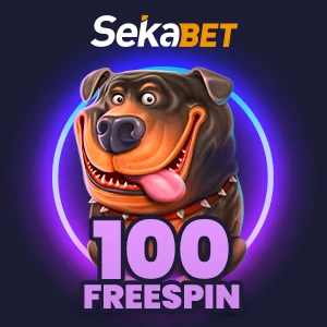 SpinLordu Market Ürün Görseli