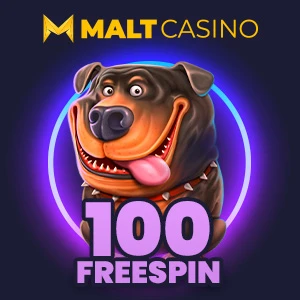 SpinLordu Market Ürün Görseli